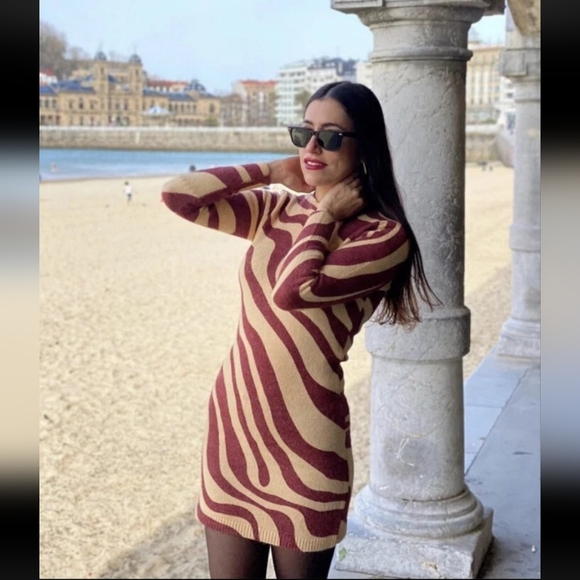 Zara Zebra Striped Jacquard Wool Blend Sweater Dress Perfect For Fall!! - Picture 14 of 16